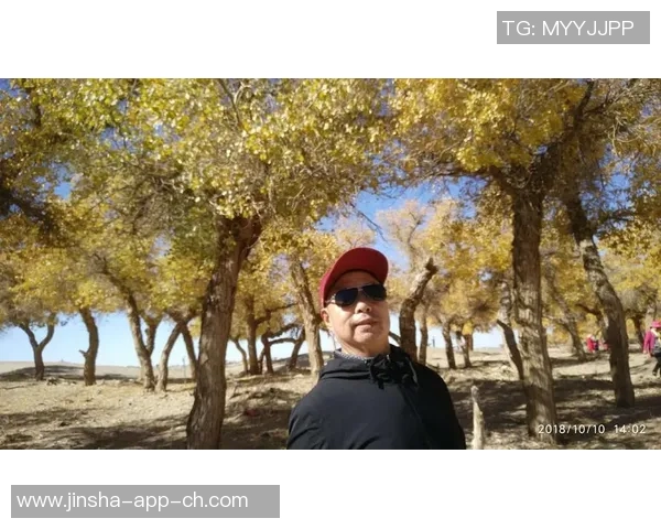 金沙娱乐娱城858299.com-金沙娱乐娱城，探索线上娱乐的新世界 858299.com-金沙娱乐娱城858299.com