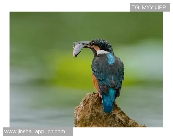 金沙娱乐场注册送99-金沙娱乐场注册送99福利，体验优质娱乐服务-金沙娱乐场注册送99